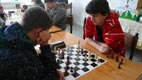 Šach 2010