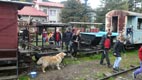 Čiernohronská železnička 2011